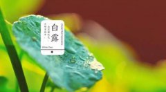白露节气的简介，白露的来历是什么
