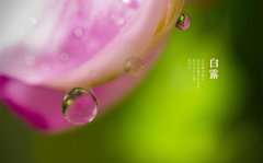 2020白露的具体时辰是多少