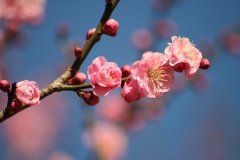 2020年农历七月二十六日子怎么样,理发合适吗？