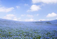 2021年农历七月十五中元节日子好吗,属于黄道吉日吗？