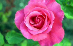 2021年中元节可以理发吗,七月半鬼节理发好不好？