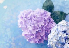 中元节晚上不能出门吗,七月半鬼节晚上几点不能出门？