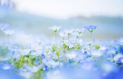 中元节要干什么,中元节是鬼节吗？