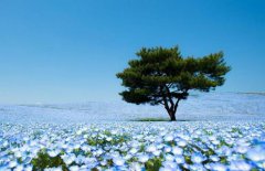 2021年农历七月十七黄历日子好吗,装修动土合适吗？