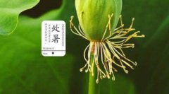 2021年处暑那天的日子好不好,各方面的运势好不好