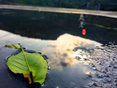 属狗的人处暑节气出生命好不好,大富大贵之命吗？