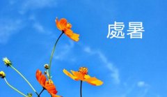 处暑节气是在什么时候,都有哪些节气活动