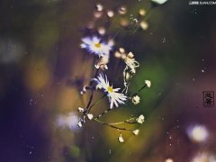 处暑是什么日子,2021年处暑在什么时候