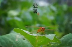 处暑节气有哪些民间习俗,都有什么样的含义