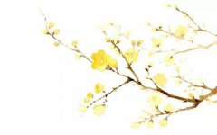 2021年处暑节气日子好吗，处暑开业好不好？