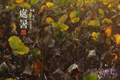 处暑节气有什么样的含义,代表着什么