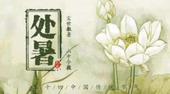 2021年的处暑是几号,处暑要怎么养生