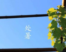 处暑不能吃什么,处暑饮食有何禁忌？