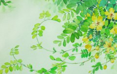 七月半鬼节有什么禁忌,中元节不能做什么？