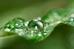 处暑节气具体在哪一天,处暑有什么天气现象