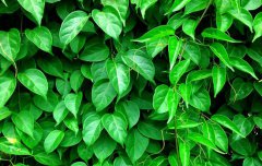 2021年农历七月初六日子好吗,适合出行出远门吗？