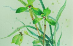 2021年农历七月初一出生狗宝宝属于什么星座？