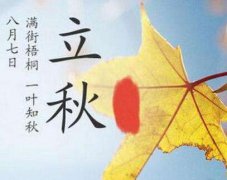 2021年立秋适合理发吗？什么是立秋？