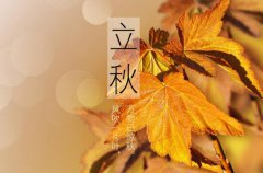 2021年立秋黄历日子好吗,立秋出行好不好？