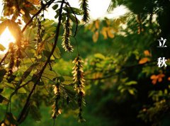 2021年8月7日立秋日子适合祭祀祖先吗,立秋祭祀好吗？