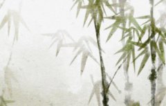 八字排盘为什么人元司令没看到