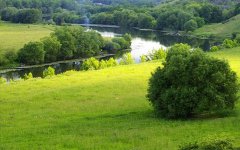 对爱死心眼的生肖