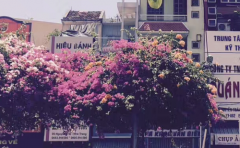 十二生肖2018年7月会遇到的后悔事