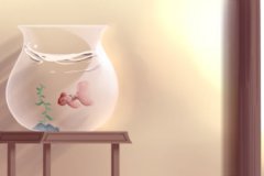 家居风水布局 鱼缸放哪个位置风水好