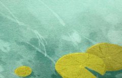 八字排盘需要精确到分钟吗