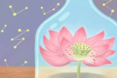 家里的假花要扔了吗 怎么处理掉