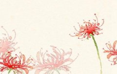 称骨算命:几两女命是富贵旺夫命