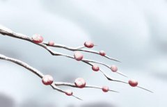 破月的人可以富贵吗 男女破月命不同