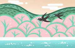 什么八字桃花运好，子午卯酉多者桃花运旺