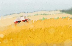 适合做管理的八字特点:八字中伤官佩印之人