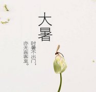 大暑养生要注意什么？大暑不能吃什么？