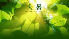 2021年大暑日子好不好,大暑节气怎么养生