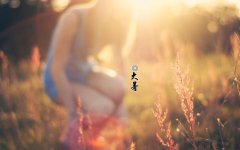 大暑是什么日子,大暑三候是哪三候