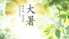 大暑节气各地都有什么风俗