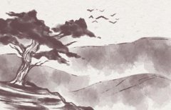 属牛的旺月是哪几个月 生肖牛的大利月盘点