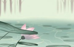 八字学业运 读书厉害的八字 华盖偏印乃易学奇才