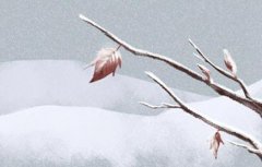 八字学业运 八字哪一柱看读书