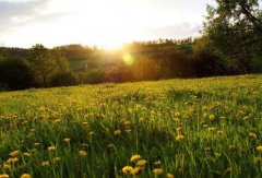 2021年农历六月二十二是不是黄道吉日？时辰凶吉如何？