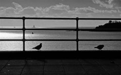 2021年农历六月十五这天适合出殡吗,这天的运势好不好