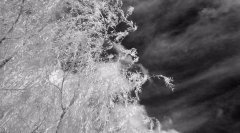 2021年农历六月二十六是否可以出殡,出殡有什么禁忌吗