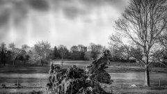 在2021年农历六月二十八适合出殡吗,当天的运势好不好