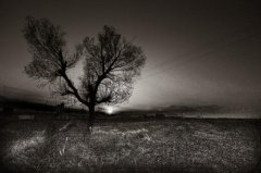 2021年农历六月初六是不是出殡的好日子,当天的运势如何