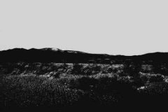 2021年农历六月初七可以出殡吗,当天运势怎样