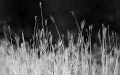 2021年农历六月初四可以出殡吗,当日运势如何