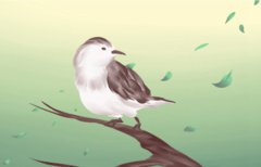 土命五行缺火怎么办 不同土命各有方法