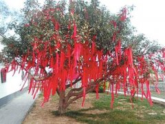 2021年农历六月十五祈福好吗,各方面运势好吗